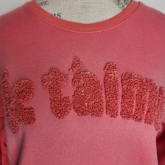 Anne Taylor Pink French Sweatshirt - Picture 7 of 12